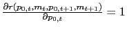 $ \frac{\partial r(p_{0,t},m_{t},p_{0,t+1},m_{t+1})}{\partial p_{0,t}}=1$