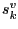 $ s_{k}^{v}$