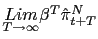 $ \underset {T\rightarrow\infty}{Lim}\beta^{T}\hat{\pi}_{t+T}^{N}$