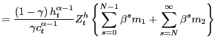 $\displaystyle =\frac{\left( 1-\gamma\right) h_{t}^{\alpha-1}}{\gamma c_{t}^{\alpha-1}}Z_{t}^{h}\left\{ \sum_{s=0}^{N-1}\beta^{s}m_{1}+\sum _{s=N}^{\infty}\beta^{s}m_{2}\right\}$