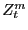 $ Z_{t}^{m}$