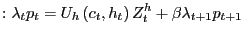 $\displaystyle :\lambda_{t}p_{t}=U_{h}\left( c_{t},h_{t}\right) Z_{t}^{h} +\beta\lambda_{t+1}p_{t+1}$