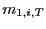 $ m_{1,i,T}$