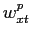 $ w_{xt}^{p}$