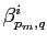 $ \beta_{p_{m},q}^{i}$