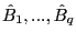 $ \hat{B}_{1},...,\hat{B}_{q}$