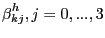 $ \mathop \beta \nolimits_{kj}^{h} , j = 0, ... , 3$