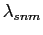 $ \lambda_{snm}$