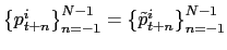 $ \left\{ p_{t+n}^{i}\right\} _{n=-1} ^{N-1}=\left\{ \tilde{p}_{t+n}^{i}\right\} _{n=-1}^{N-1}$