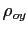 $ \rho_{oy}$