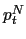 $ p_{t}^{N}$