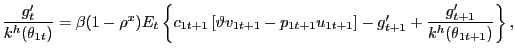 $\displaystyle \frac{g^{\prime}_{t}}{k^{h}(\theta_{1t})} = \beta(1-\rho^{x}) E_{t} \left\{ c_{1t+1} \left[ \vartheta v_{1t+1} - p_{1t+1} u_{1t+1} \right] - g^{\prime}_{t+1} + \frac{g^{\prime}_{t+1}}{k^{h} (\theta_{1t+1})} \right\} ,$