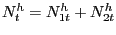 $ N^{h}_{t} = N^{h}_{1t} + N^{h}_{2t}$