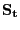 $ \mathbf{S_{t}}$