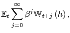 $\displaystyle \mathbb{E}_{t}\sum_{j=0}^{\infty}\beta^{j}\mathbb{W}_{t+j}\left( h\right) ,$