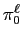 $ \pi_{0}^{\ell}$