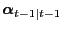 $ \boldsymbol{\alpha}_{t-1\vert t-1}$