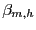$ \beta_{m,h}$