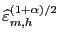 $ \widehat{\varepsilon}_{m,h}^{(1+\alpha)/2}$