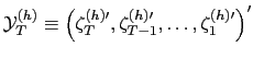 $ \mathbf{\mathcal{Y}}_{T}^{(h)}\equiv\left( \mathbf{\zeta}_{T}^{(h)\prime
},\mathbf{\zeta}_{T-1}^{(h)\prime},\ldots,\mathbf{\zeta}_{1}^{(h)\prime
}\right) ^{\prime}$
