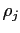 $ \rho_{j}$