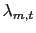 $ \lambda_{m,t}$