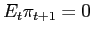 $ E_{t}\pi_{t+1}=0$