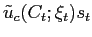 $\displaystyle \tilde{u}_{c}(C_{t};\xi_{t})s_{t}$