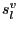 $ s_{l}^{v}$
