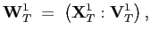 $\displaystyle \mathbf{W}_{T}^{1}\;=\;\left( \mathbf{X}_{T}^{1}:\mathbf{V}_{T}^{1}\right) ,$