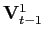 $ \mathbf{V}_{t-1}^{1}$