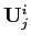 $ \mathbf{U}_{j}^{i}$