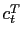 $ c_{t}^{N}$