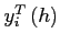 $y_{i}^{T}\left(h\right) $