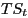 \begin{displaymath}TS_t\end{displaymath}