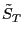 $ \tilde{S}_{T} $
