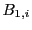$ B_{1,i}$