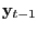 $ \mathrm{\mathbf{y}}_{t-1} $