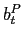 $ b^{P}_{t} $