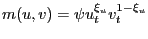$ m(u,v) = \psi u_{t}^{\xi_{u}} v_{t}^{1-\xi_{u}}$