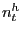 $ n_{t}^{h}$
