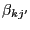 $ \beta_{kj^{\prime}} $