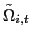 $ \tilde{\Omega}_{i,t}$