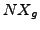 $NX_{g}$