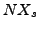 $NX_{s}$