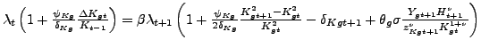 $ \lambda_{t}\left( 1+\frac{\psi_{Kg}}{\delta_{Kg}}\frac{\Delta K_{gt} }{K_{t-1}}\right) =\beta\lambda_{t+1}\left( 1+\frac{\psi_{Kg}}{2\delta_{Kg} }\frac{K_{gt+1}^{2}-K_{gt}^{2}}{K_{gt}^{2}}-\delta_{Kgt+1}+\theta_{g} \sigma\frac{Y_{gt+1}H_{t+1}^{\nu}}{z_{Kgt+1}^{\nu}K_{gt}^{1+\nu}}\right) $