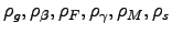 $\rho _{g},\rho _{\beta },\rho _{F},\rho _{\gamma },\rho _{M},\rho _{s}$