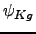 $\psi _{Kg}$