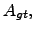 $A_{gt},$