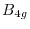 B_{4g}